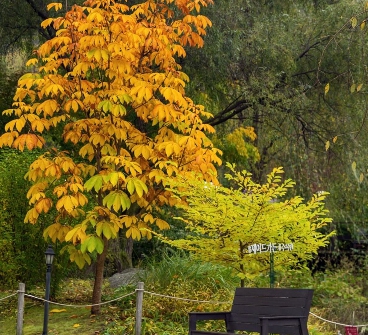 당일치기/가을/힐링/여행 /제이드/가든