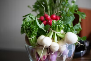 취나물부터 두릅까지: 향긋함 그대로 보존하는 진공 포장 기술과 냉동 보관 노하우