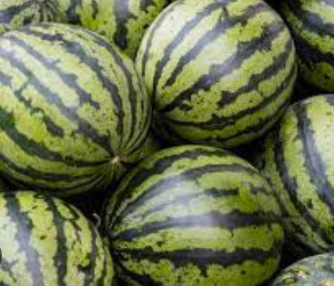 수박 줄무늬
