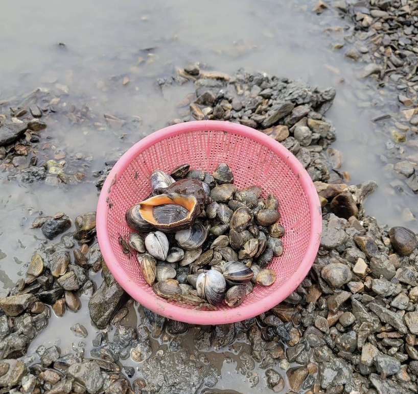 전현무 나혼자 산다 탄도항 일몰