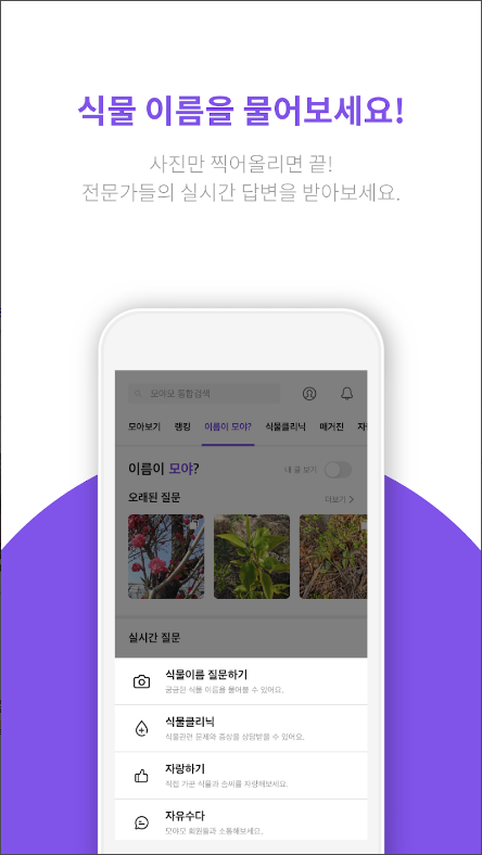 모야모, 식물 식별, 꽃 이름 찾기, 병충해 진단