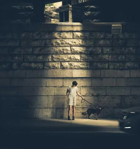 동원F&B
