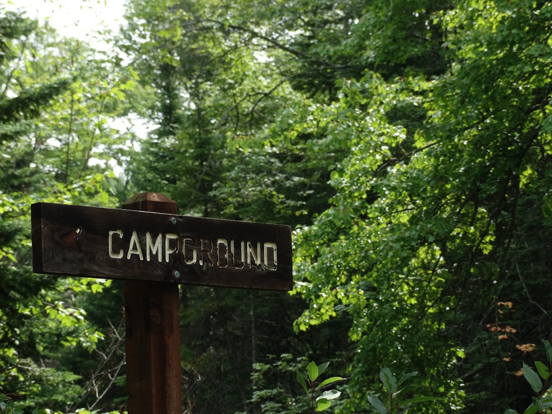 Camping.