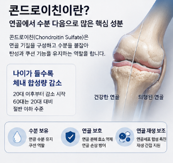 콘드로이친1200-효능-성분-부작용-복용법-가격-차이
