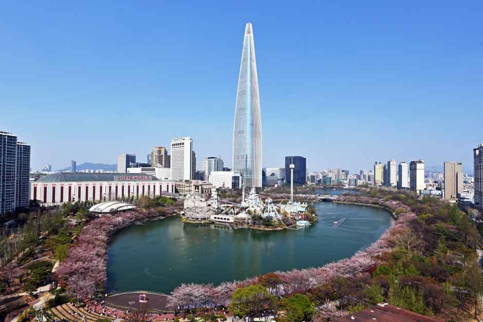 석촌호수 주변 벚꽃 사진