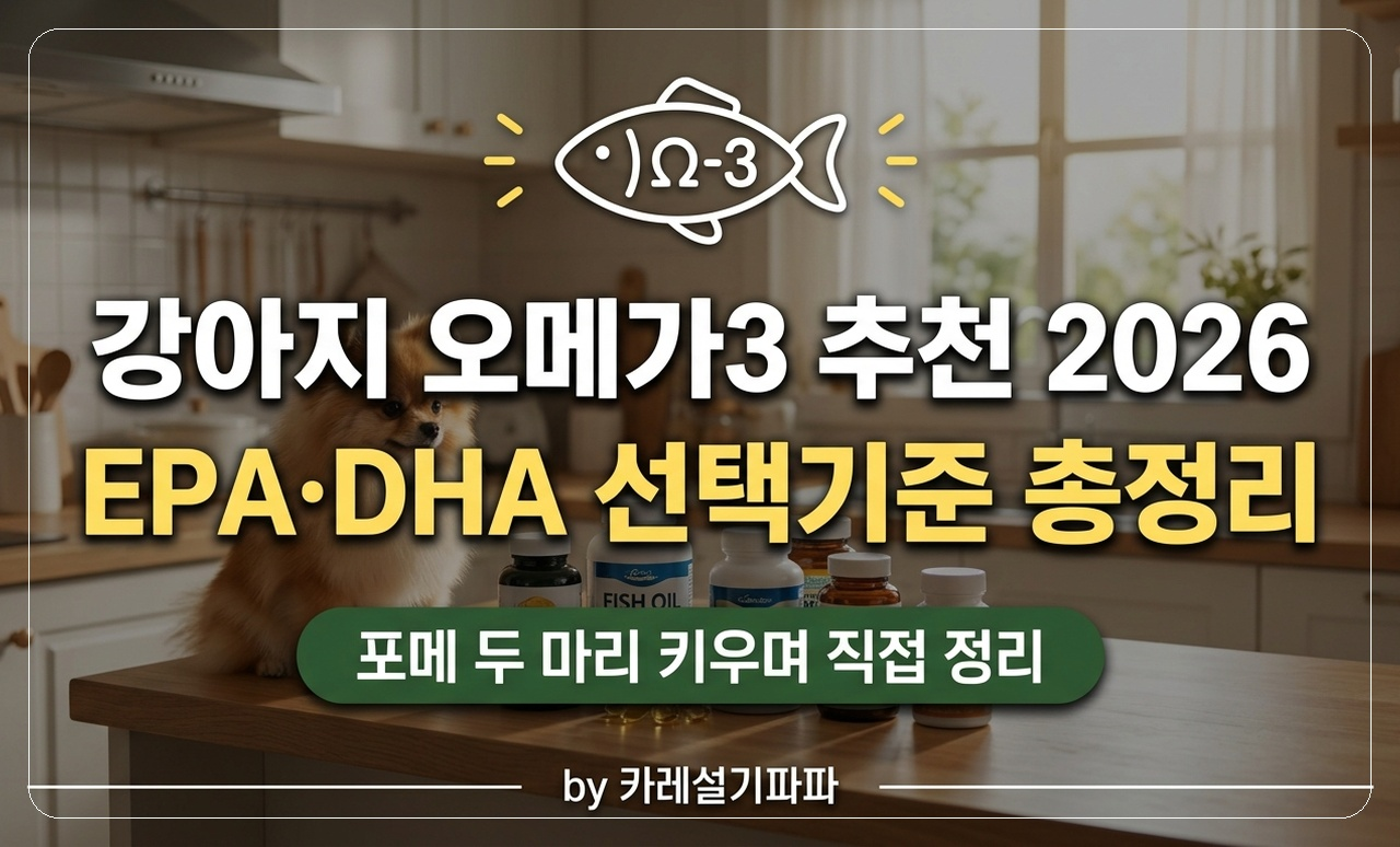 포메 오메가3 추천 썸네일