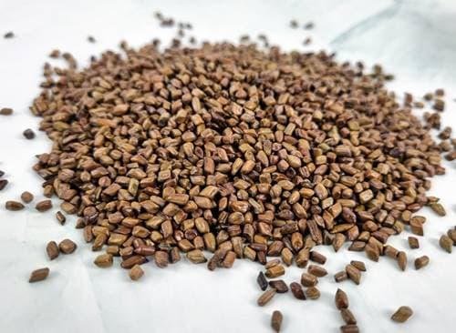 결명자차 많이 마시면 생기는 부작용