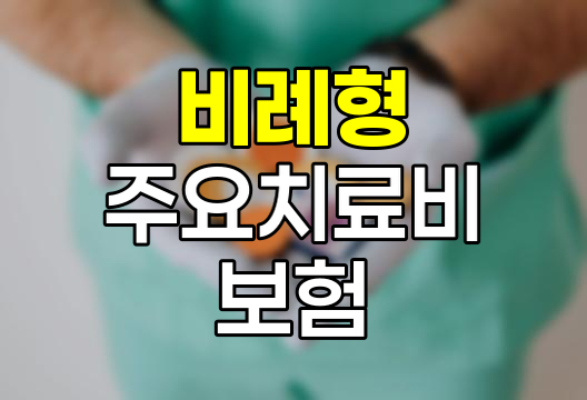 흥국화재 비례형 주요치료비 보험의 혜택과 한계