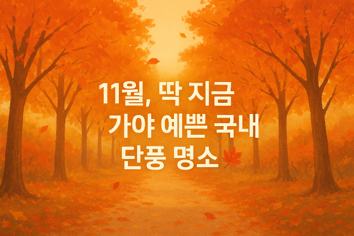 11월, 딱 지금 가야 예쁜 국내 단풍 명소
