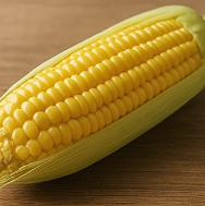 변비에 좋은 음식 변비해결방법