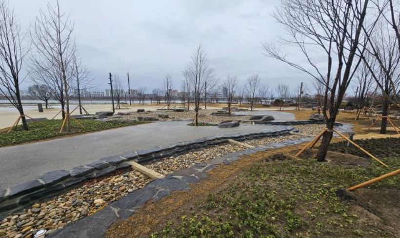 한강 수영장 개장 6곳 이용 방법 총정리