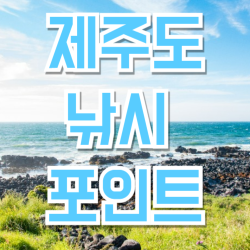 제주도 대표 낚시 포인트 추천 7곳 완벽 가이드