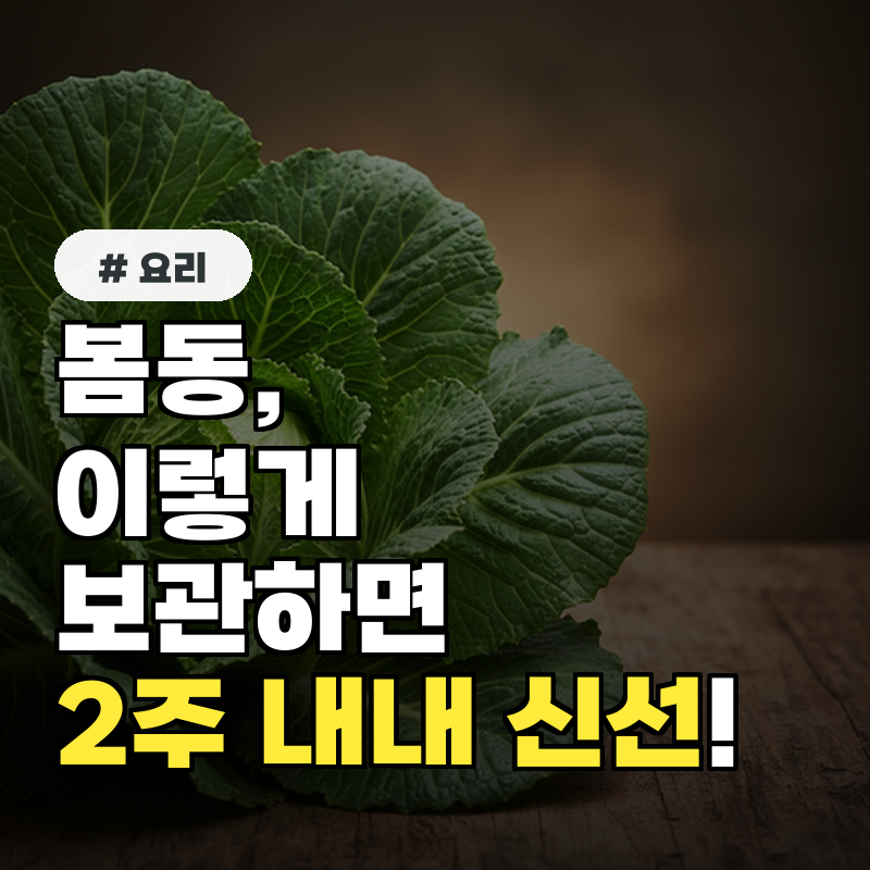 봄동, '이렇게' 보관하면 2주 내내 신선! 당장 따라하세요