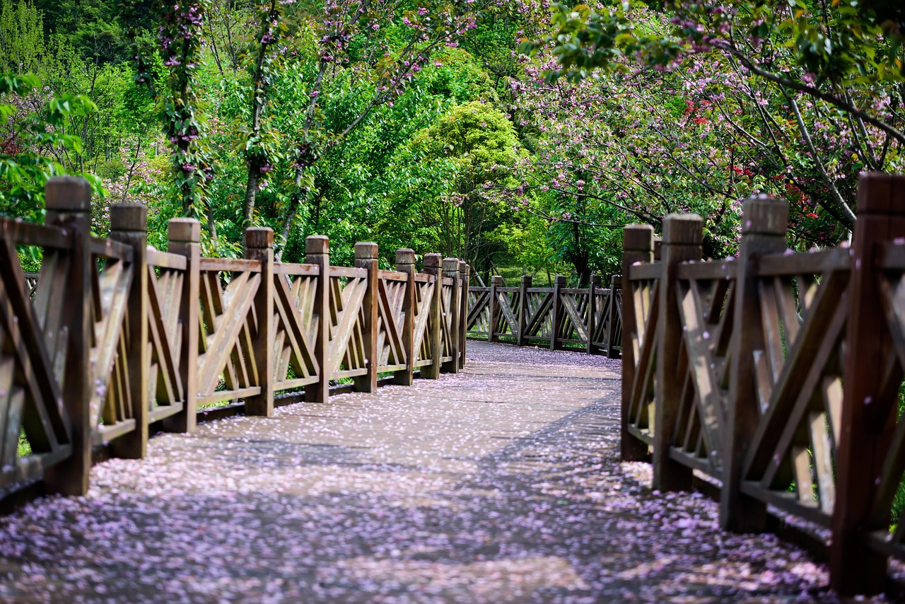 햇살이 비치는 봄 산책길 관련 사진