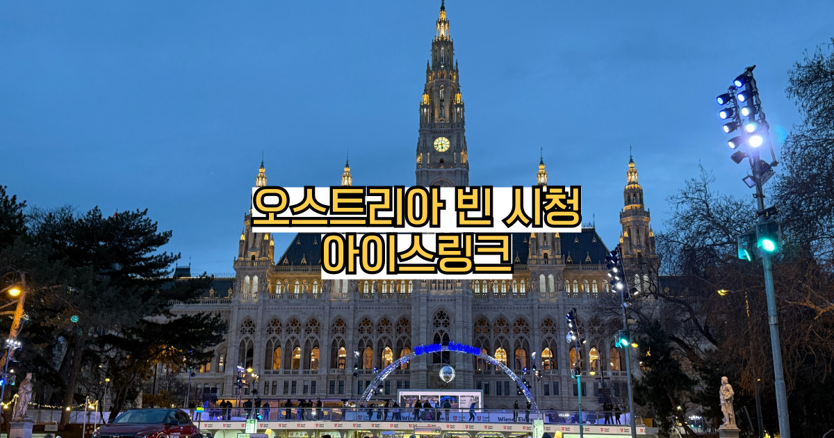 오스트리아빈시청앞광장