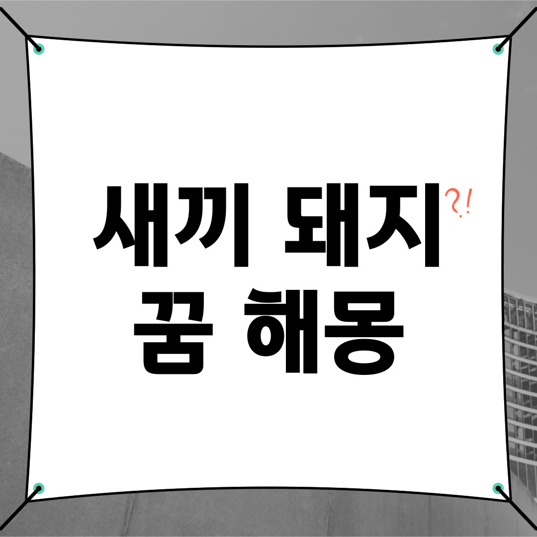 새끼 돼지 꿈해몽