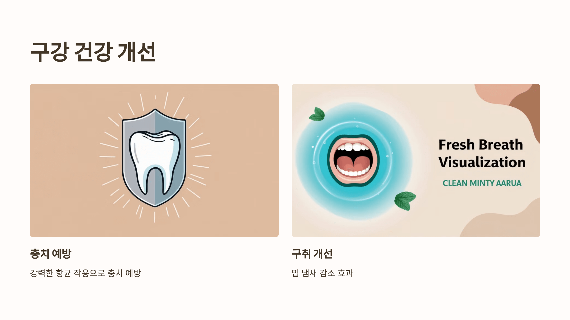 프로폴리스와 관련된 사진입니다.