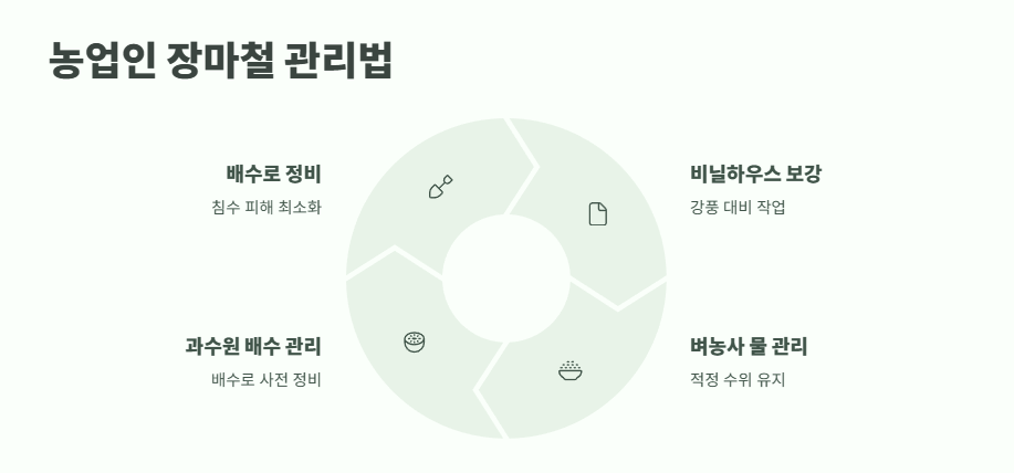 올해 장마철 기간 완벽 정리 11