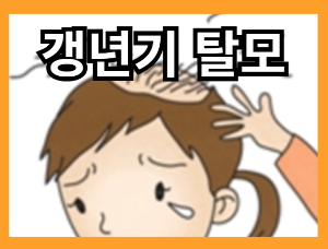 머리카락이 많이 빠지는 이유 - 갱년기 탈모