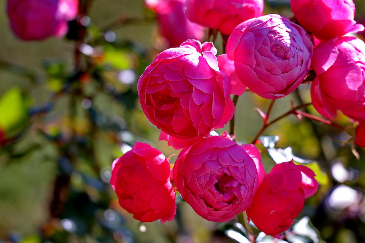 2025년 5월 꽃축제 일정 포스터