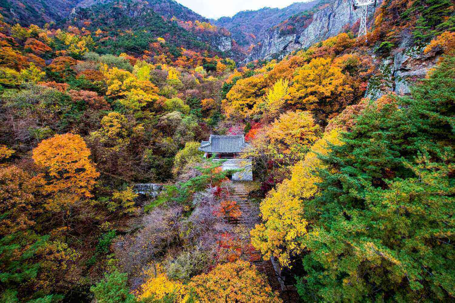 금오산 (사진출처:경북나드리)