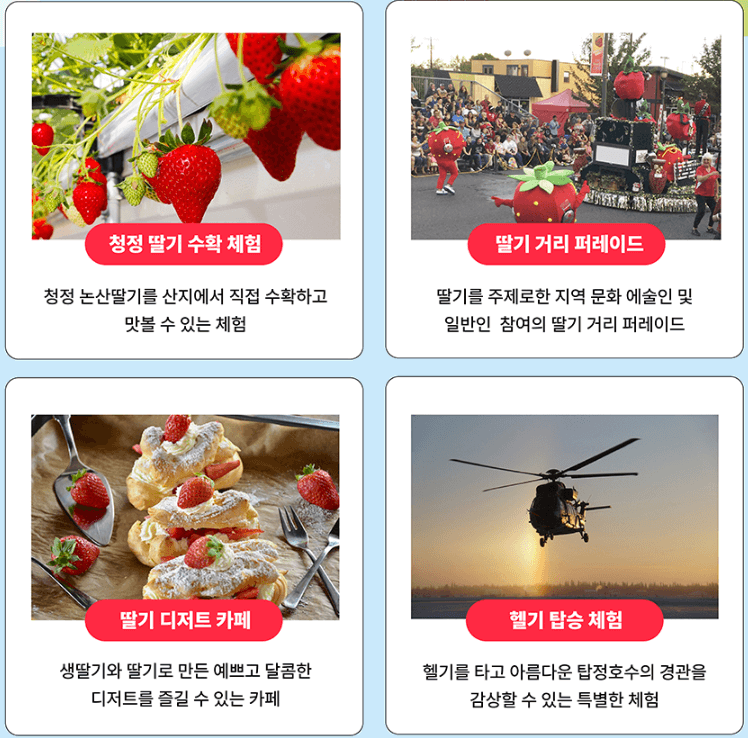 딸기체험정보