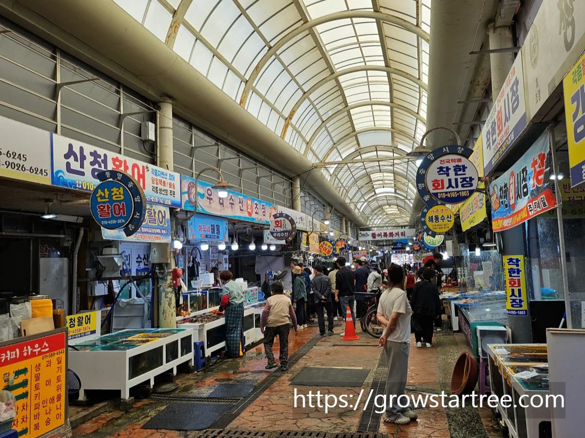 통영 중앙전통시장 활어특화거리