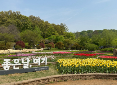 부천 장미축제 날짜 주차장