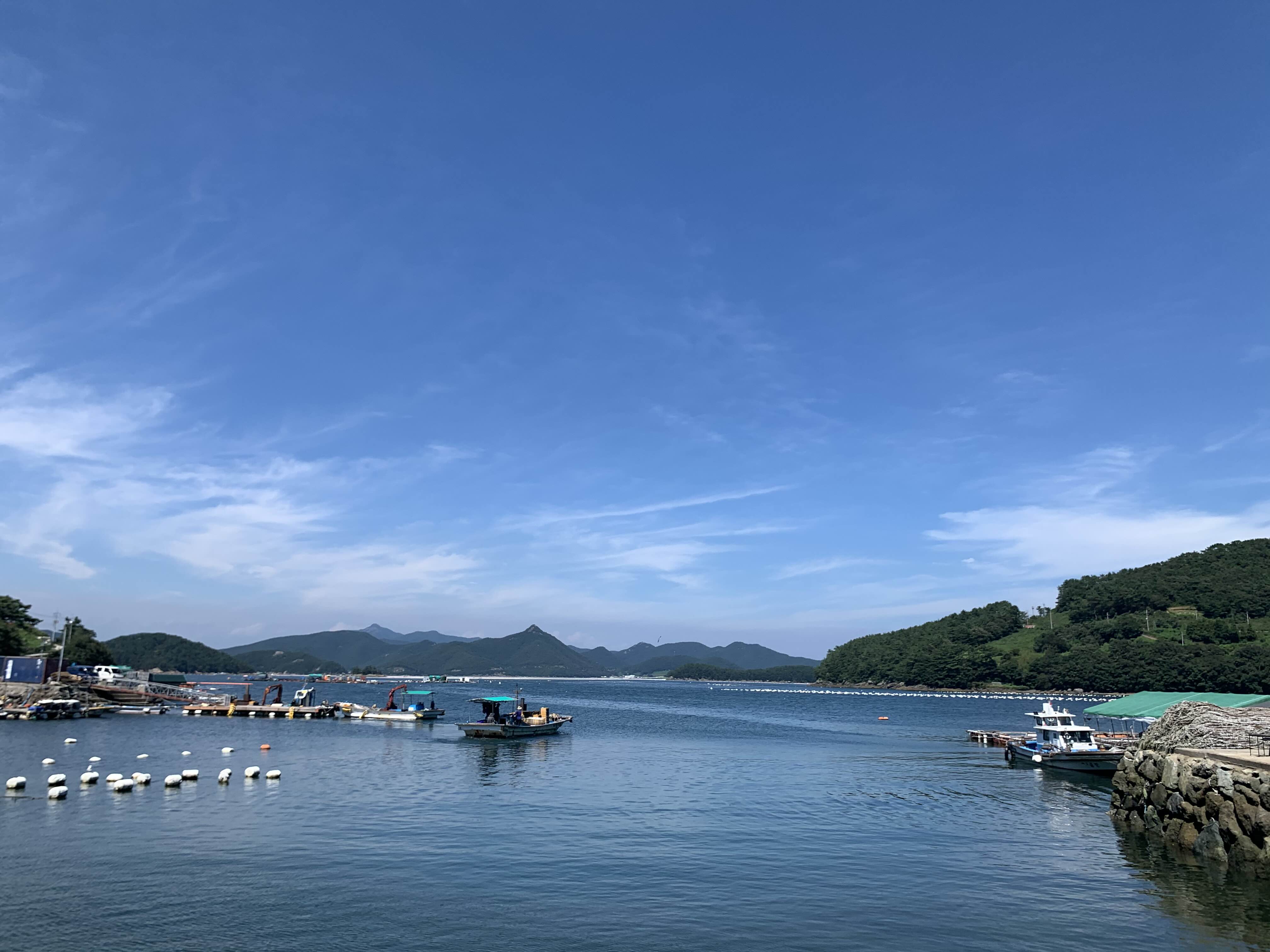 배양장