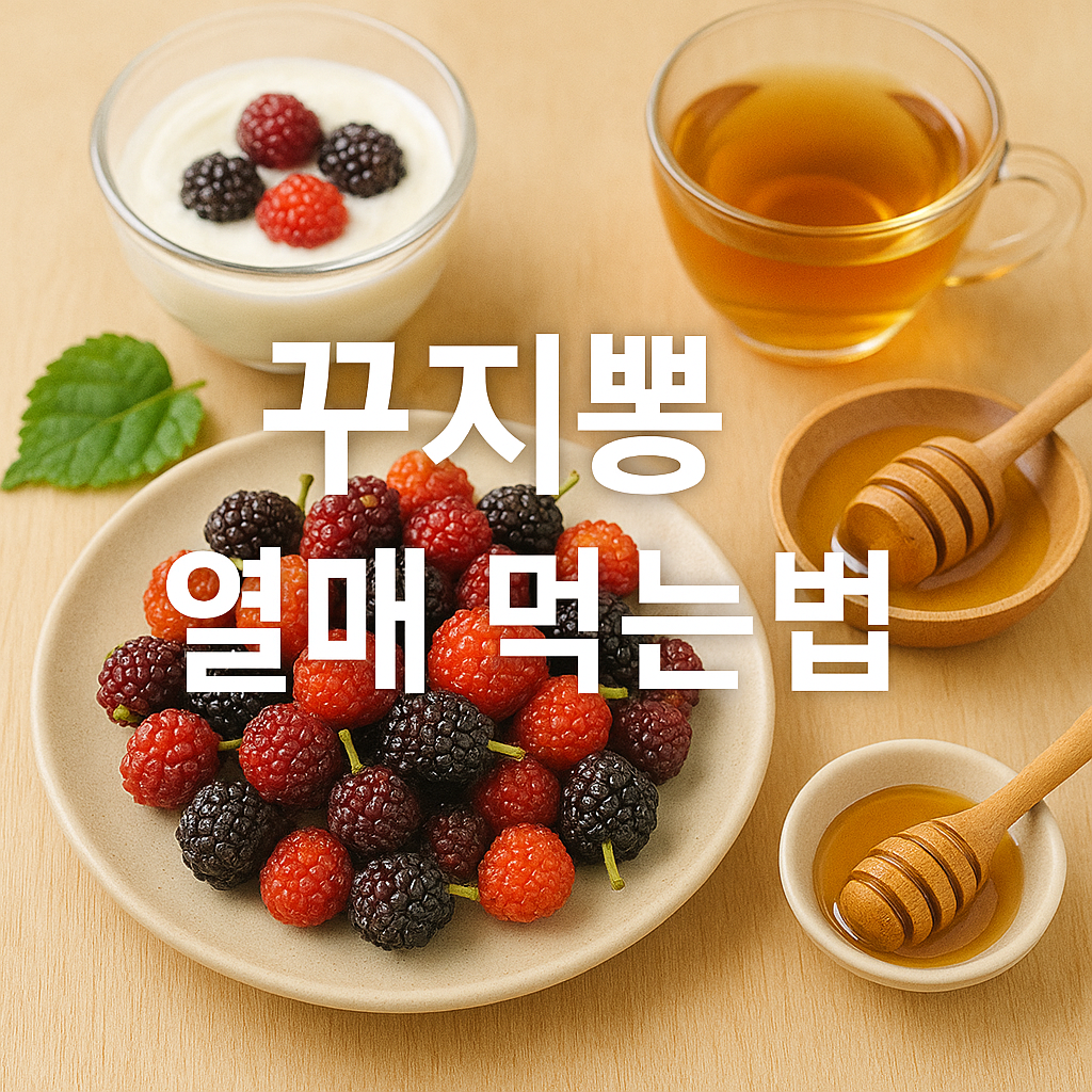 꾸지뽕 열매 먹는법
