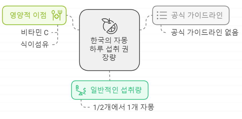 자몽 하루 섭취량