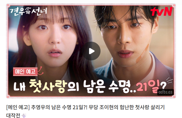 견우와선녀 포스터 tvN제공