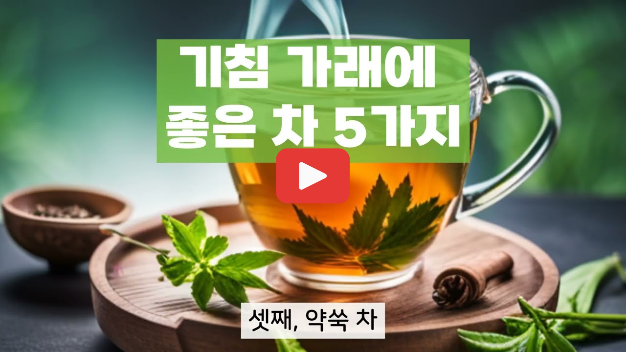 기침에 좋은 차 가래에 좋은 차 기관지에 좋은 차 추천