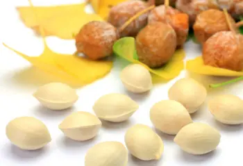 은행 열매 가격 및 효능, 영양성분과 부작용