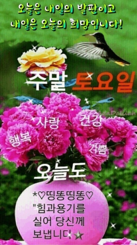 4. 토요일 인사말 12