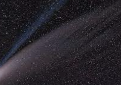 ENFP 유형 특징 분석