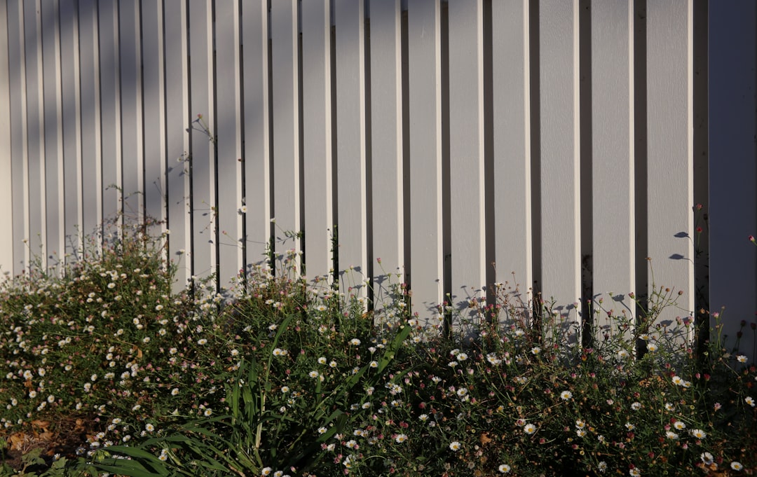 'Garden'