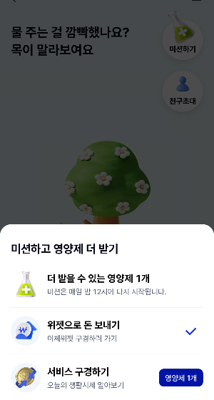 K뱅크 돈나무 키우기