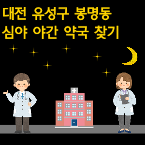 대전 봉명동 심야 야간 24시 약국 찾기