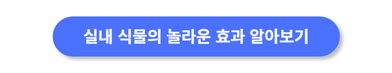 버튼