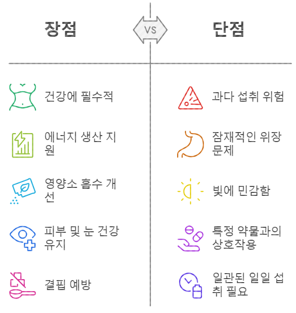 비타민 B2 섭취 시 주의점