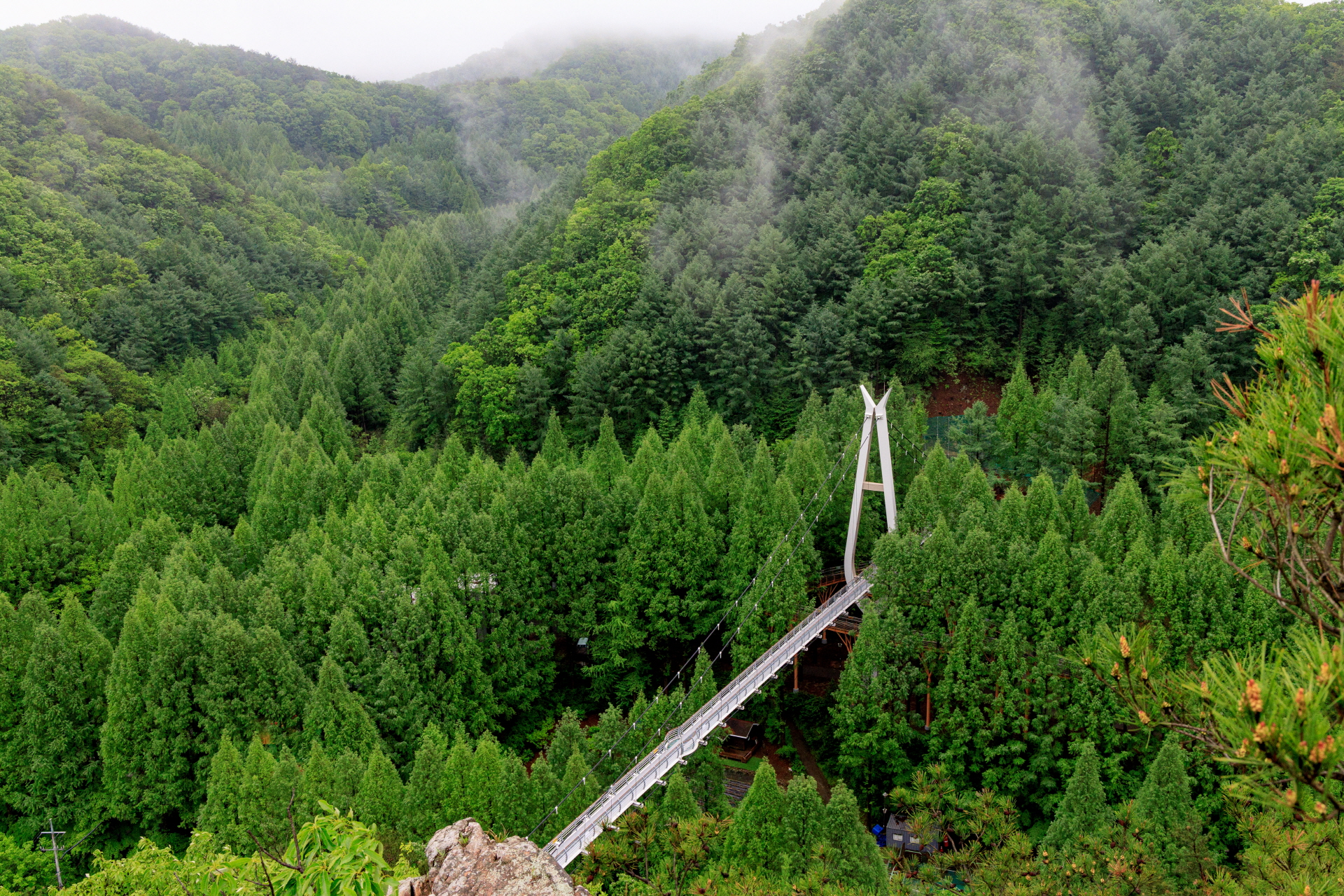 장태산자연휴양림