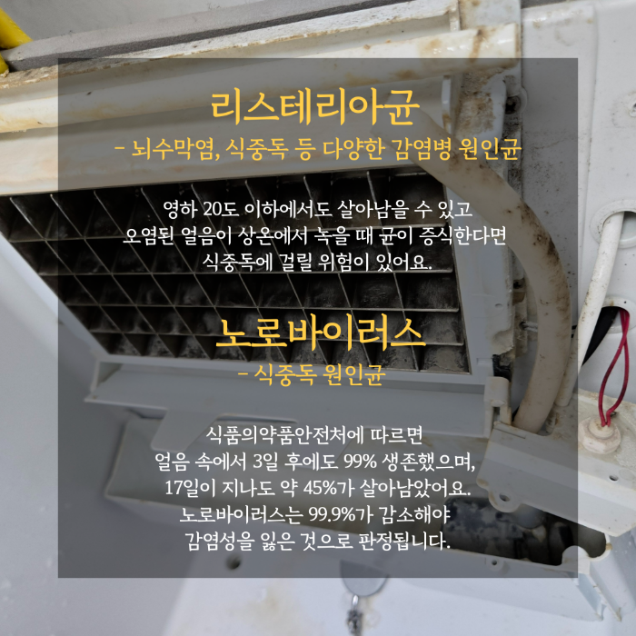 리스테리아균 노로바이러스