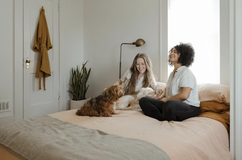 2025년부터 달라지는 반려동물 등록제: 의무화 범위와 과태료 정리