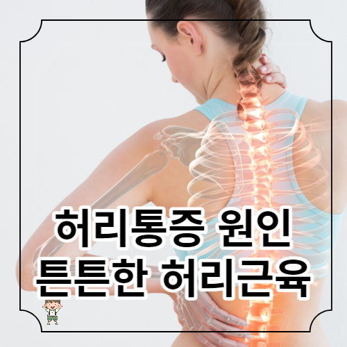 허리 통증 원인