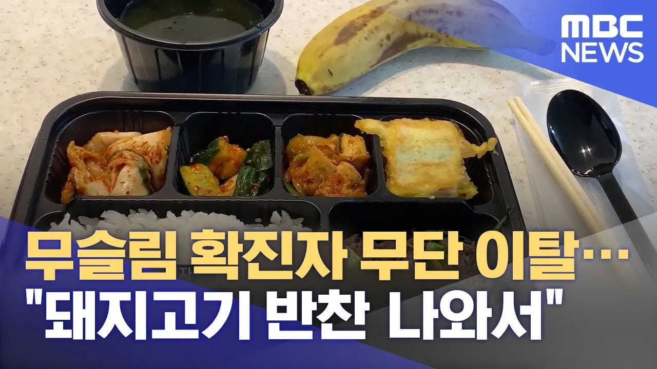 역사속의 미스터리 무슬림이 돼지고기 먹지 않는 이유_9