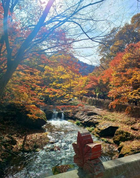 강천산군립공원