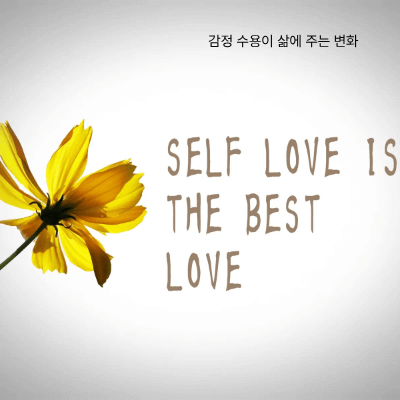 감정 수용이 필요한 이유와 효과|불안·분노·두려움 수용하기