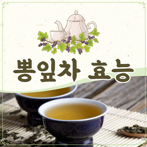 뽕잎차 효능 알아보고 드세요!