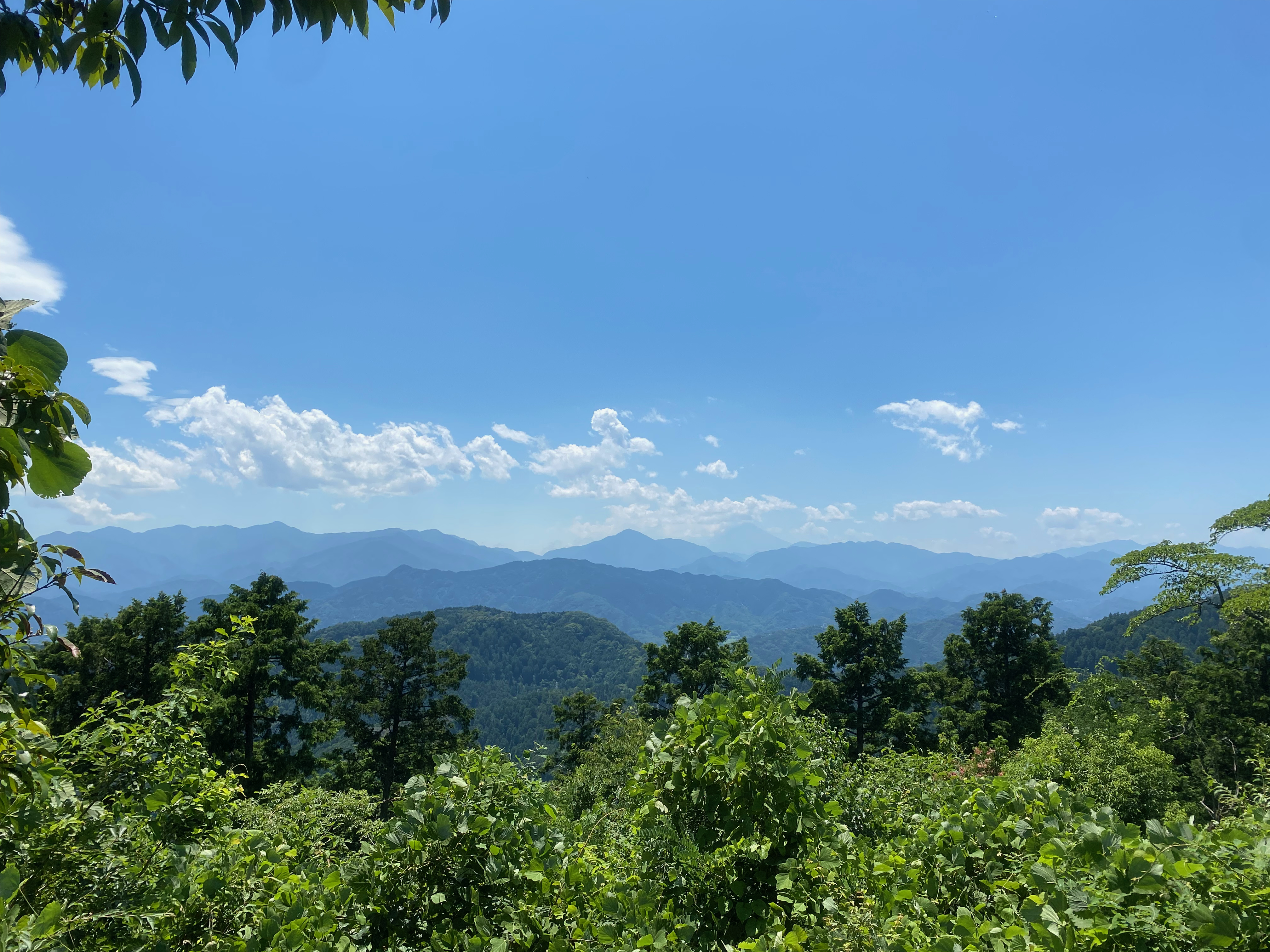 다카오산 정상 풍경